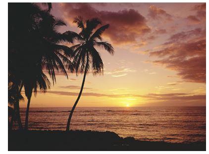 hawaiian sunset mural