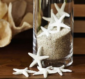 starfish vase filler