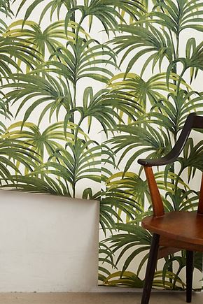 palm leaves wallpaper
